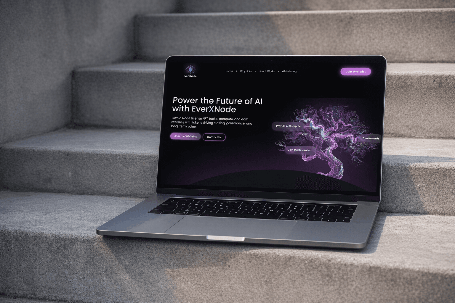 EverXNode